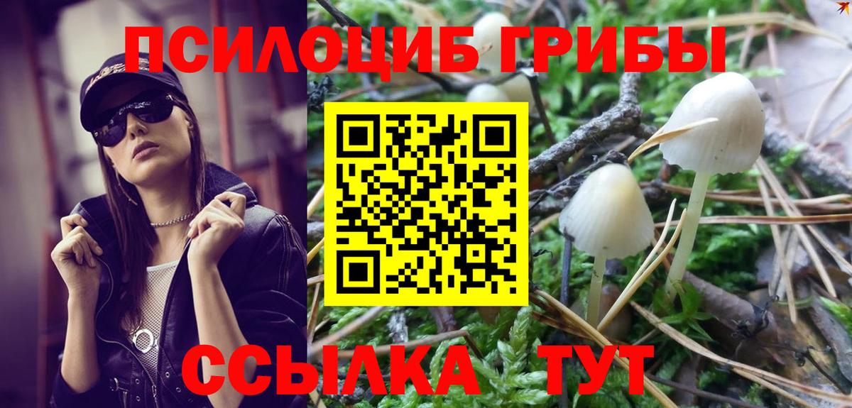 Псилоцибиновые грибы GOLDEN TEACHER  Вход с VPN  Нижнеудинск  Галлюциногенные грибы Magic Shrooms 